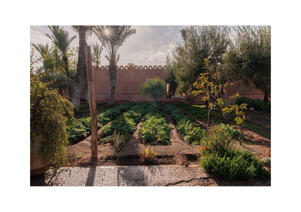 Villa 55 Marrakech Marrakesh Ngoại thất bức ảnh