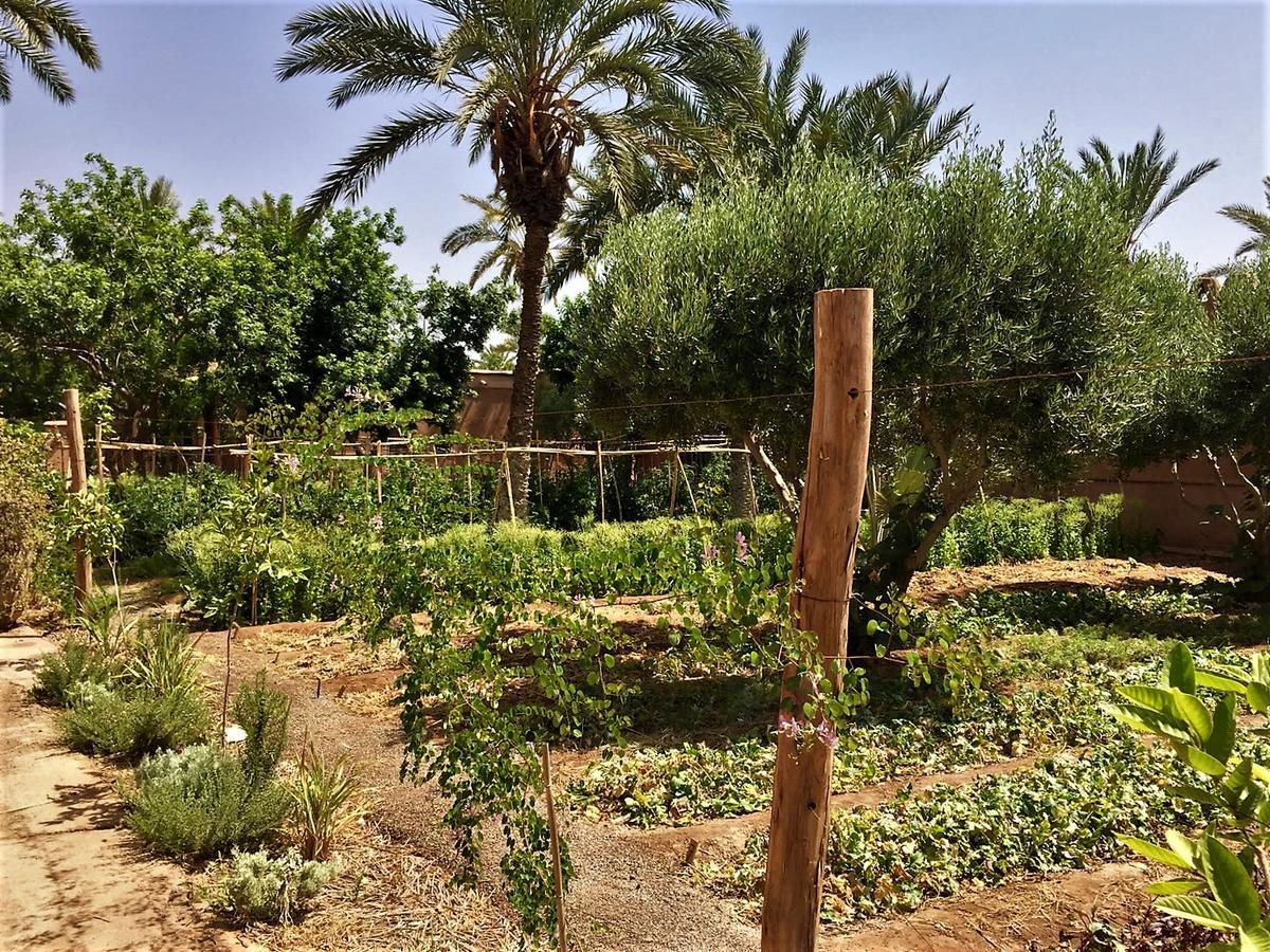 Villa 55 Marrakech Marrakesh Ngoại thất bức ảnh